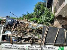 Recycling Services for Junk in The Hammocks, FL