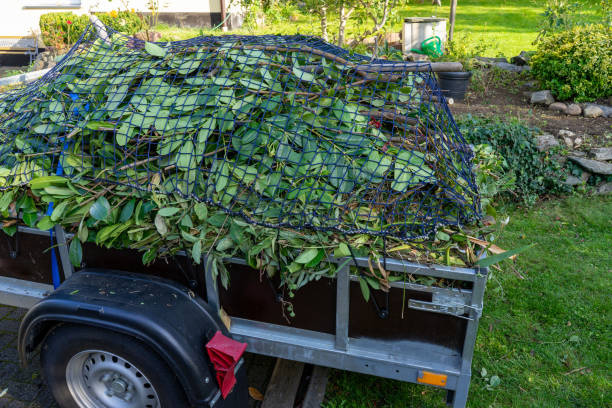 Best Residential Junk Removal  in The Hammocks, FL